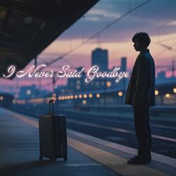 I Never Said Goodbye
