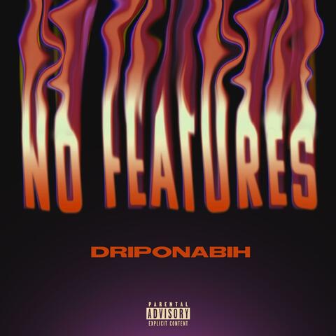 No Features