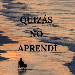 Quizás no aprendí