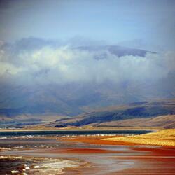 Wherever the Wind Blows