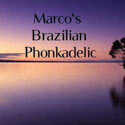 Marco's Brazilian Phonkadelic 417hz