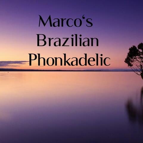 Marco's Brazilian Phonkadelic 417hz