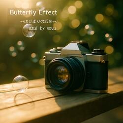 バタフライ・エフェクト ～はじまりの羽音～