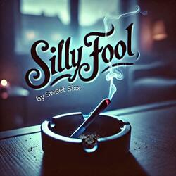 Silly Fool