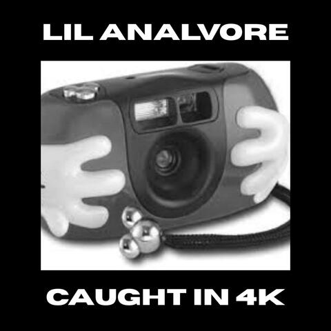 Caught in 4K