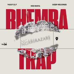 Ngarizare