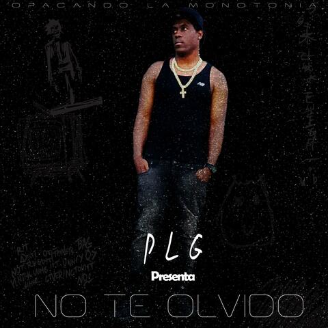 NO TE OLVIDO (INSTRUMENTAL )