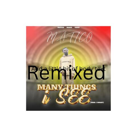 Many things i see remixed
