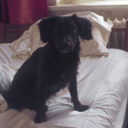 i don't know if i can kill myself anymore