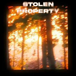 Stolen Property