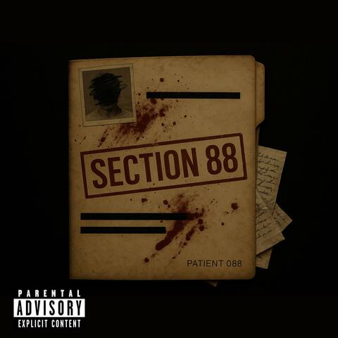 SECTION 88