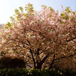 Worth (feat. Sopperior)