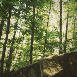 stay alive (Slowed & Reverb)