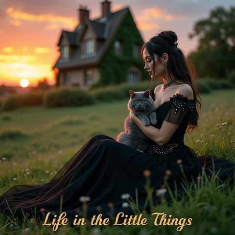 Life in the Little Things (Heartfelt Version)