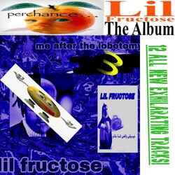it wouldn't be a new lil fructose album without one of these