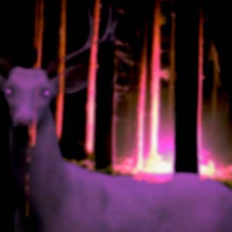 you were never there to begin with.