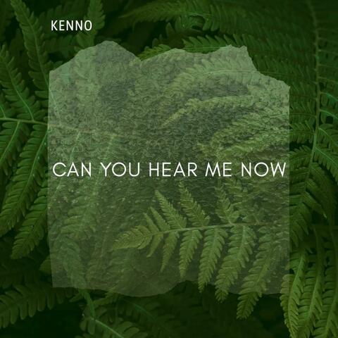 Can You Hear Me Now