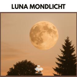 Luna Mondlicht (feat. Mondkind)
