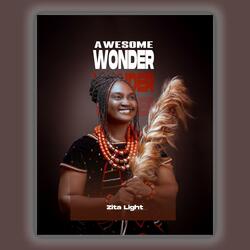 Awesome Wonder