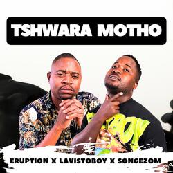 Tswhara motho (feat. Songezom & Lavistoboy) (Radio Edit)