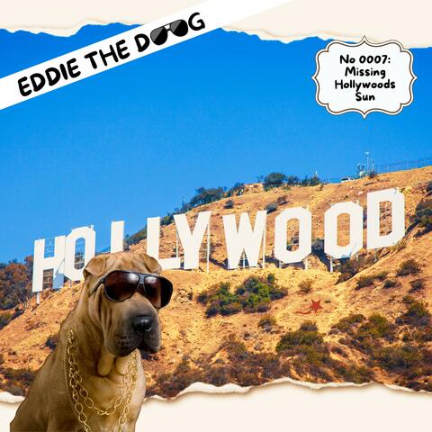 Missing Hollywoods Sun