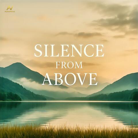 Silence From Above