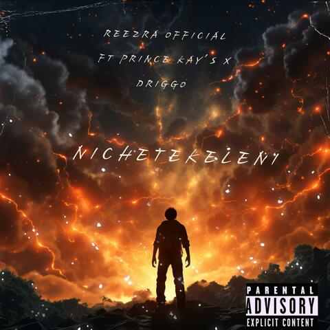 Nichetekeleni (feat. Prince Kay's & Driggo)