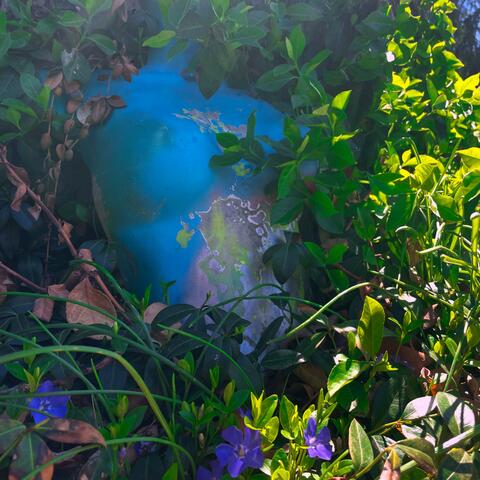 Vegetation