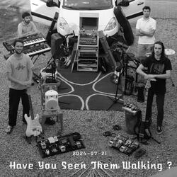 Have You Seen Them Walking ? (Garage Sessions 2024-07-21)