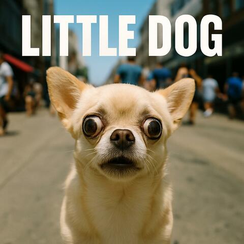 Little Dog