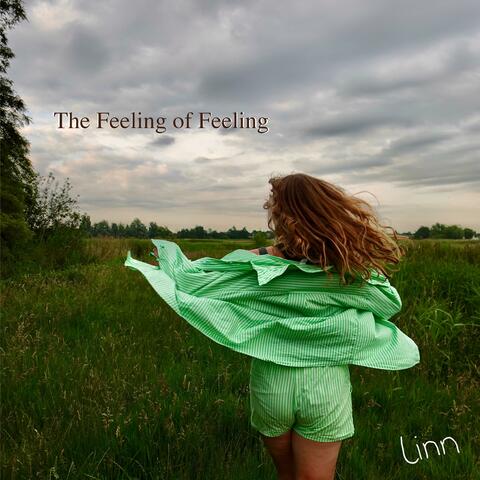 The Feeling of Feeling