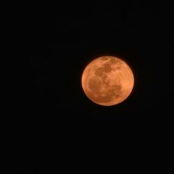 Mirando a la luna te encuentro