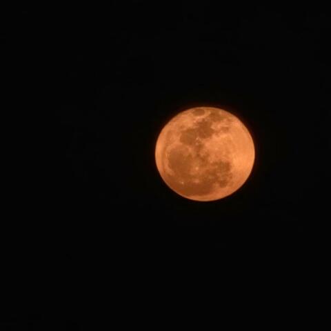 Mirando a la luna te encuentro