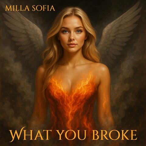 What You Broke