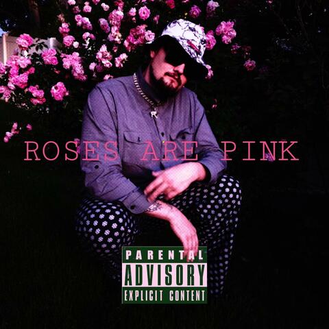 Roses Are Pink