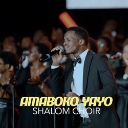 AMABOKO YAYO