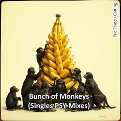 Bunch of Monkeys  (Psy Orient Style Mix)