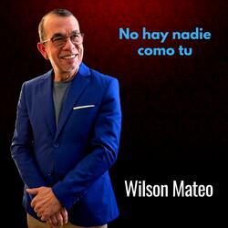 No Hay Nadie Como Tu
