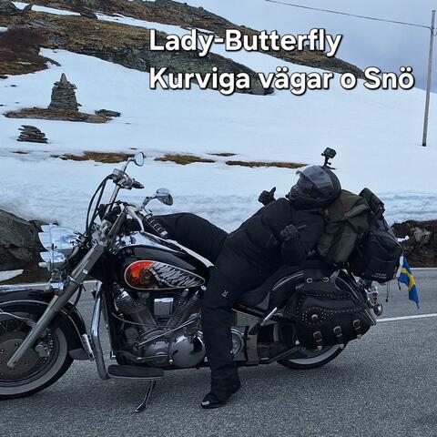 Kurviga vägar o Snö