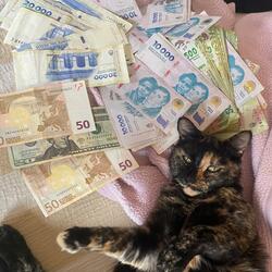 entre vos y la plata