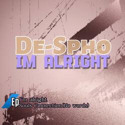 De-Spho & Raddy T-Souls connection(No words)