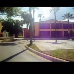 Why she poppin Swag like my daddy?