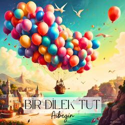 Bir Dilek Tut