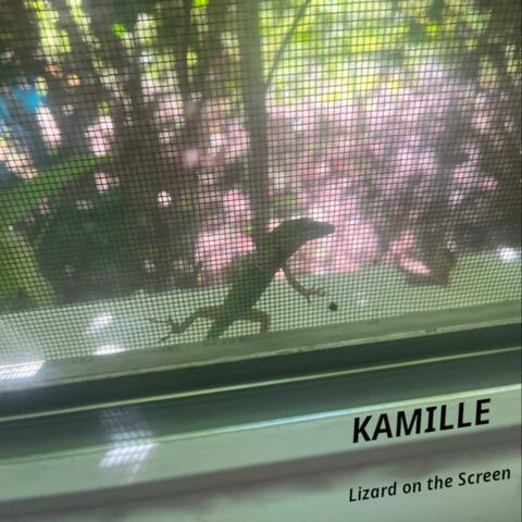 Lizard on the Screen