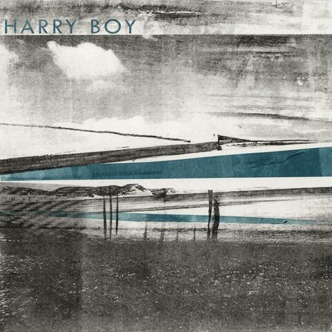 Harry Boy