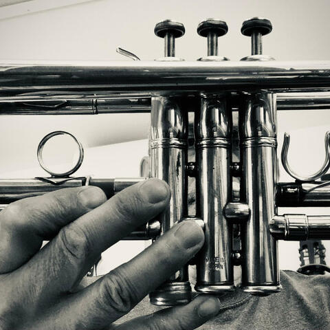 Quentin Tarantino (ACORN)