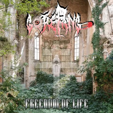 FREEDOM OF LIFE