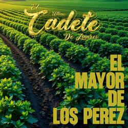 EL MAYOR DE LOS PEREZ