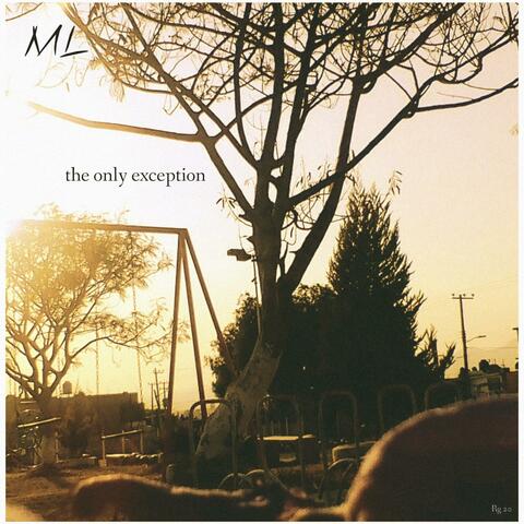 the only exception