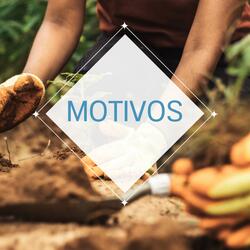 Motivos